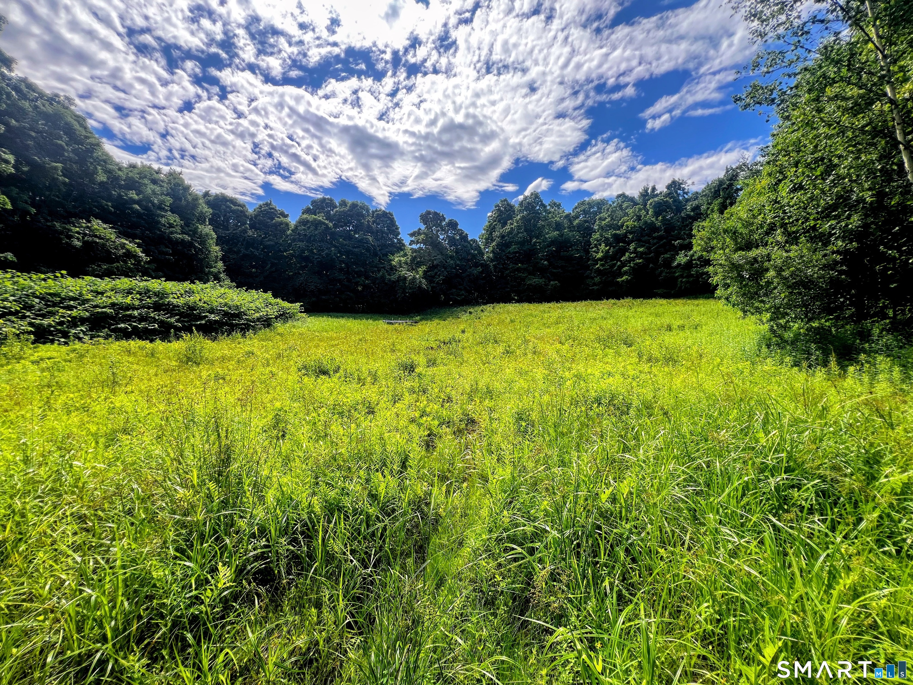 Hartland CT 06027