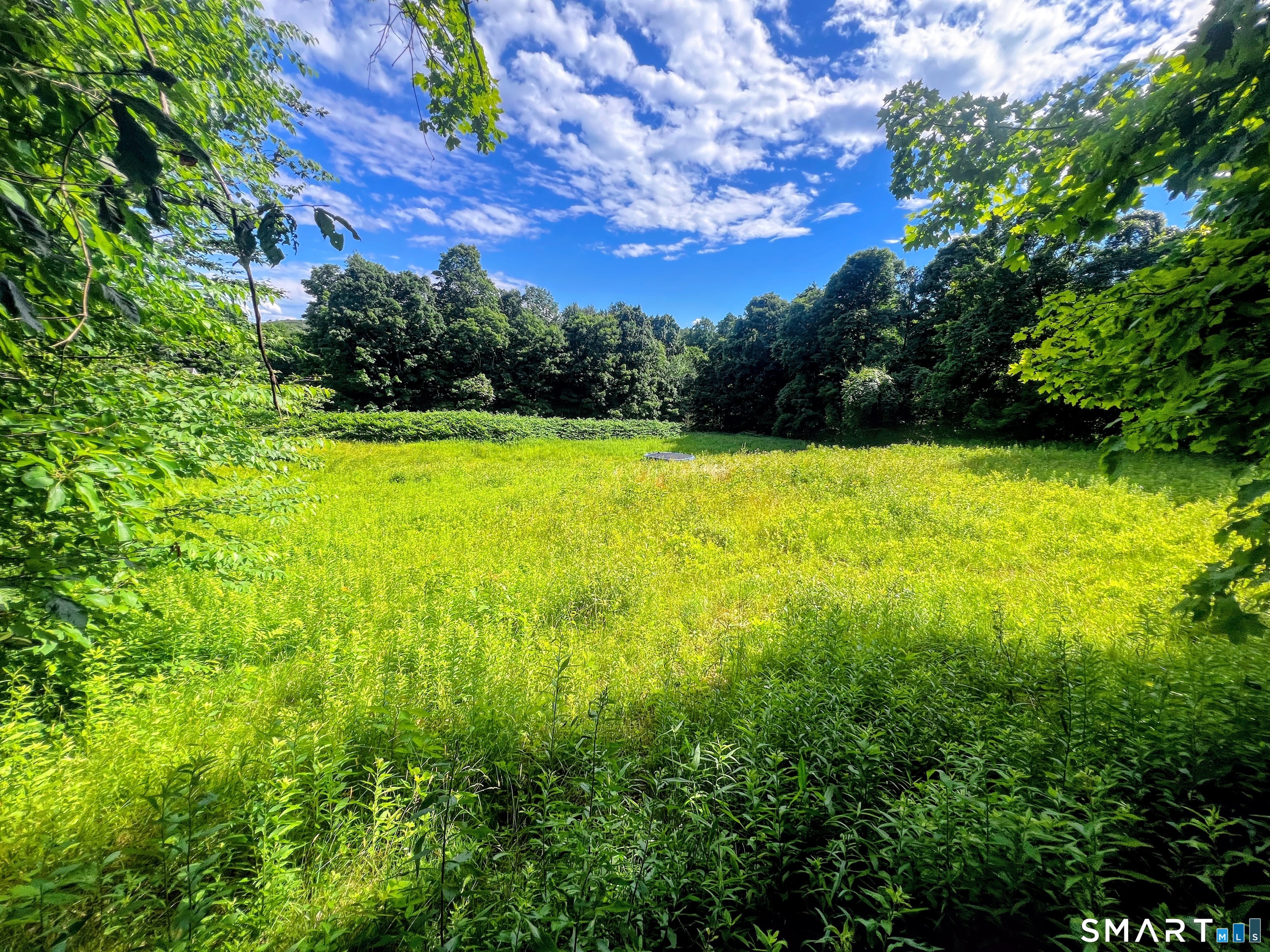 Hartland CT 06027