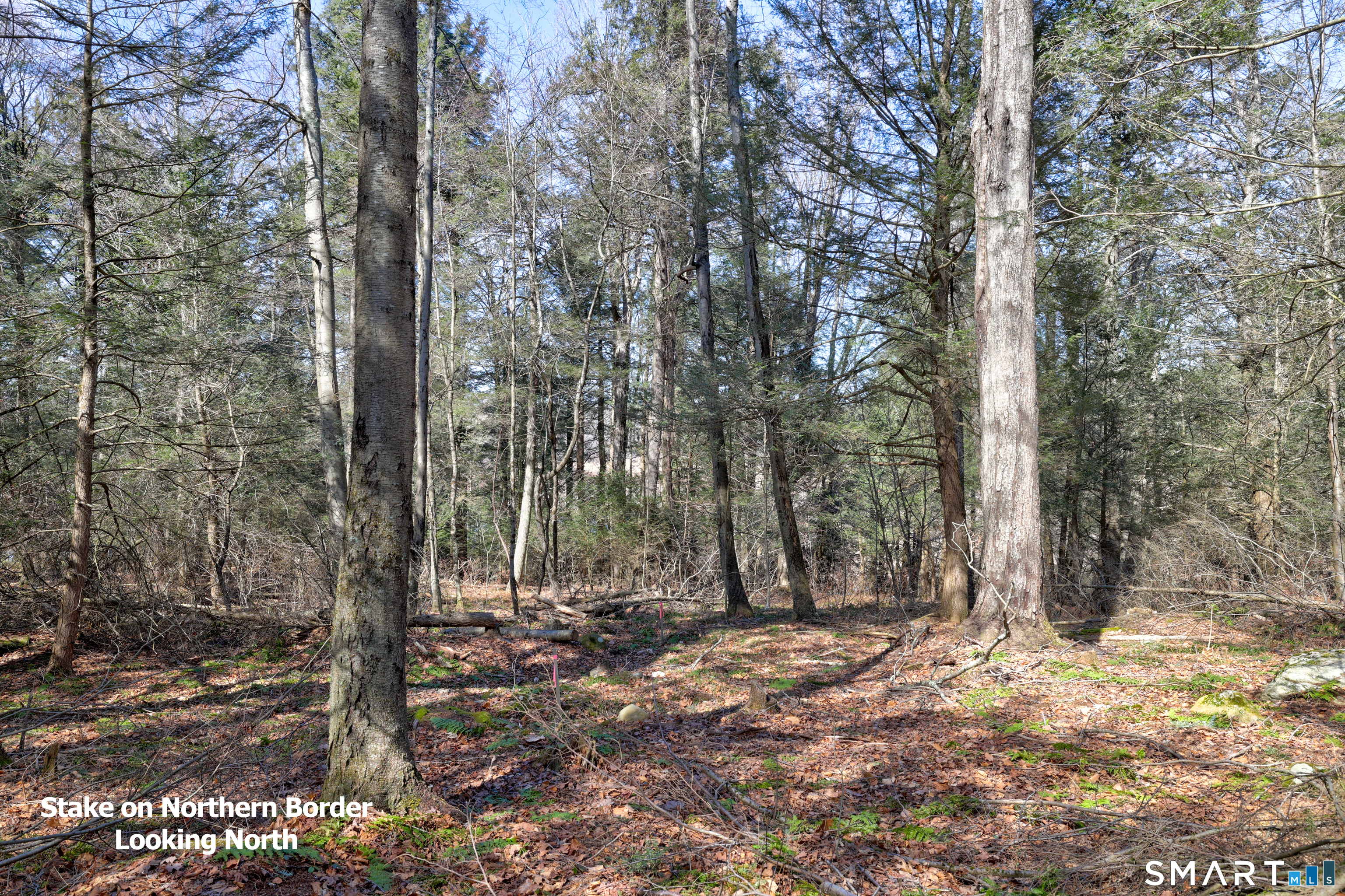 Meadowcrest North Drive Goshen CT 06756