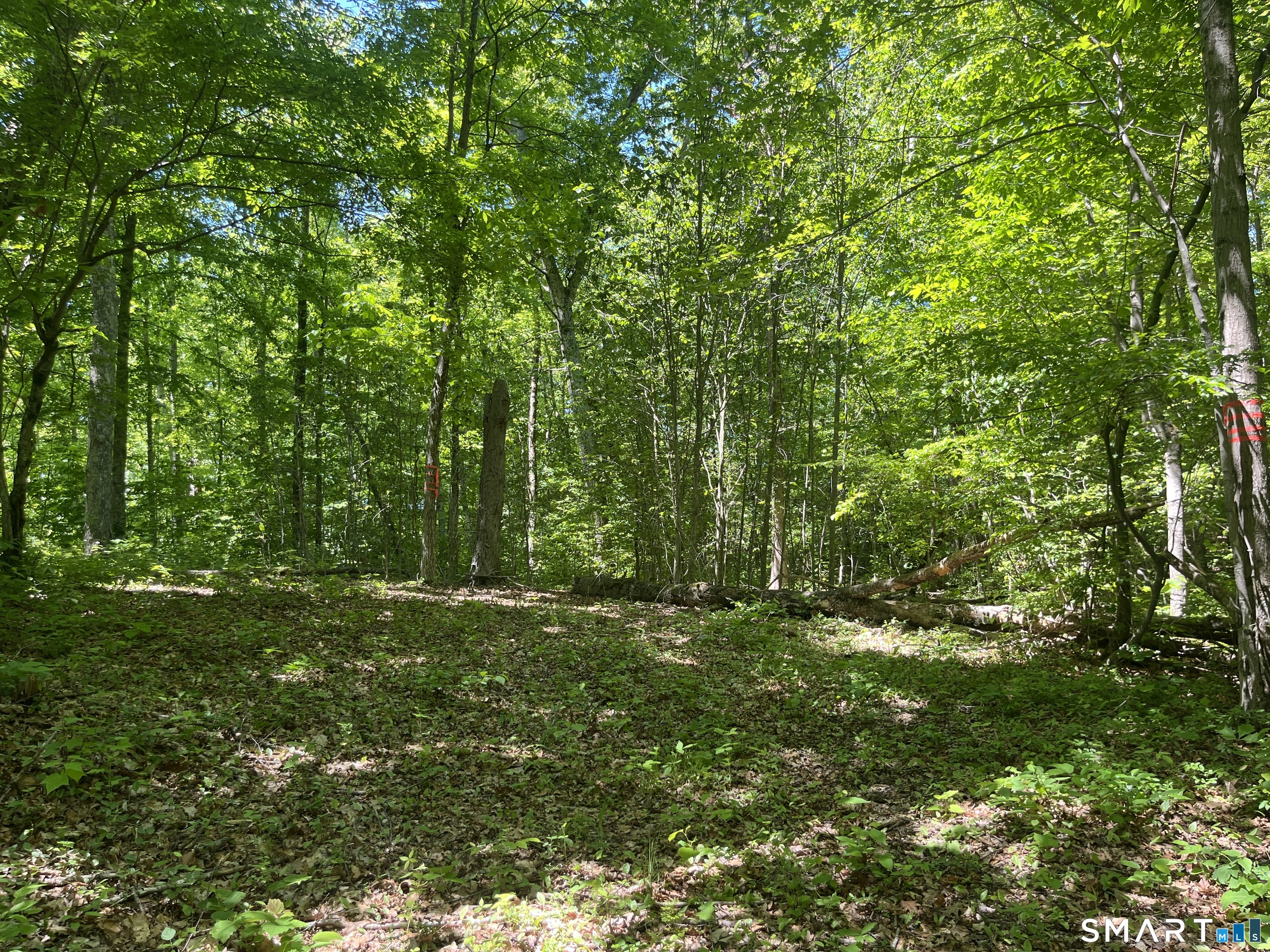 44 Keeler Road Sharon CT 06069