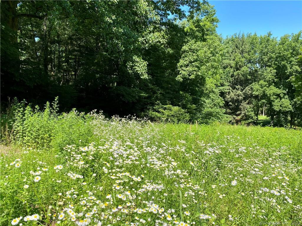 94 Cannon Road Wilton CT 06897