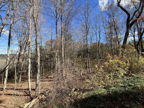 18 Niles Road New Hartford CT 06057