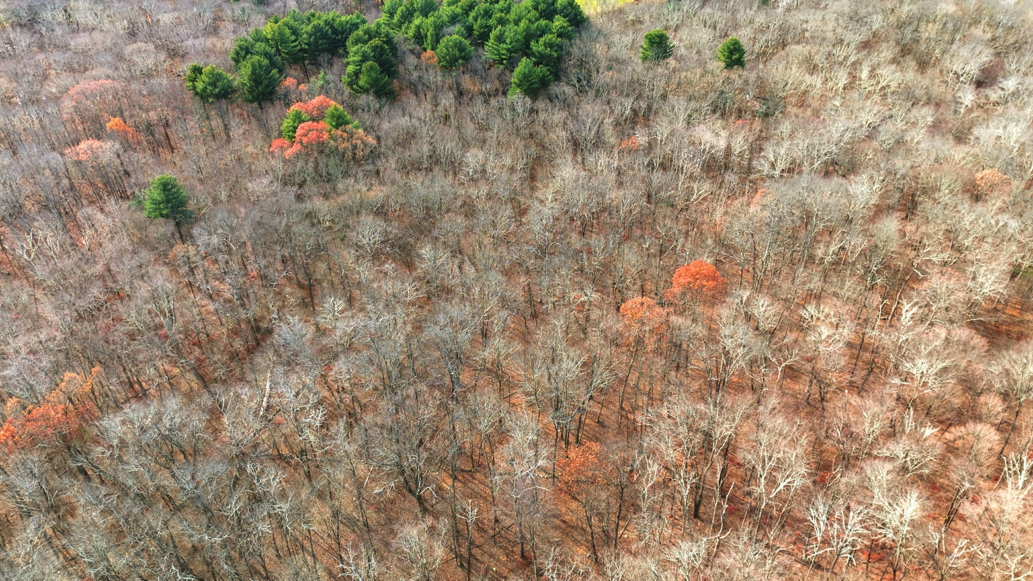 126 Hebron Road Bolton CT 06043