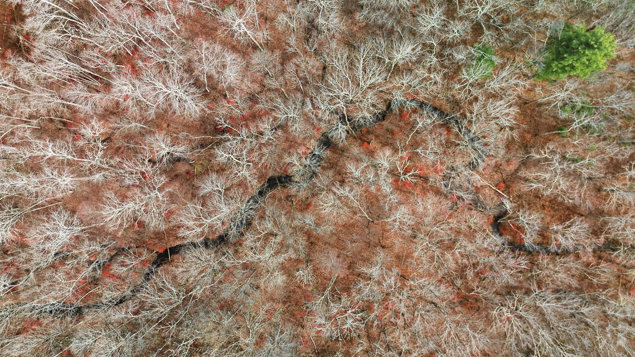 126 Hebron Road Bolton CT 06043