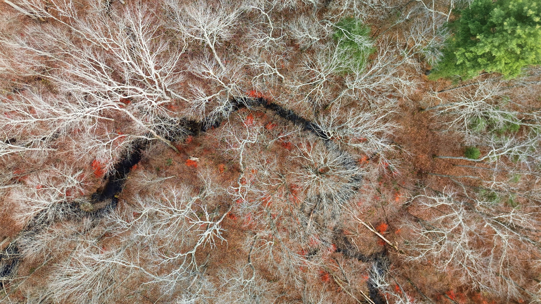 126 Hebron Road Bolton CT 06043