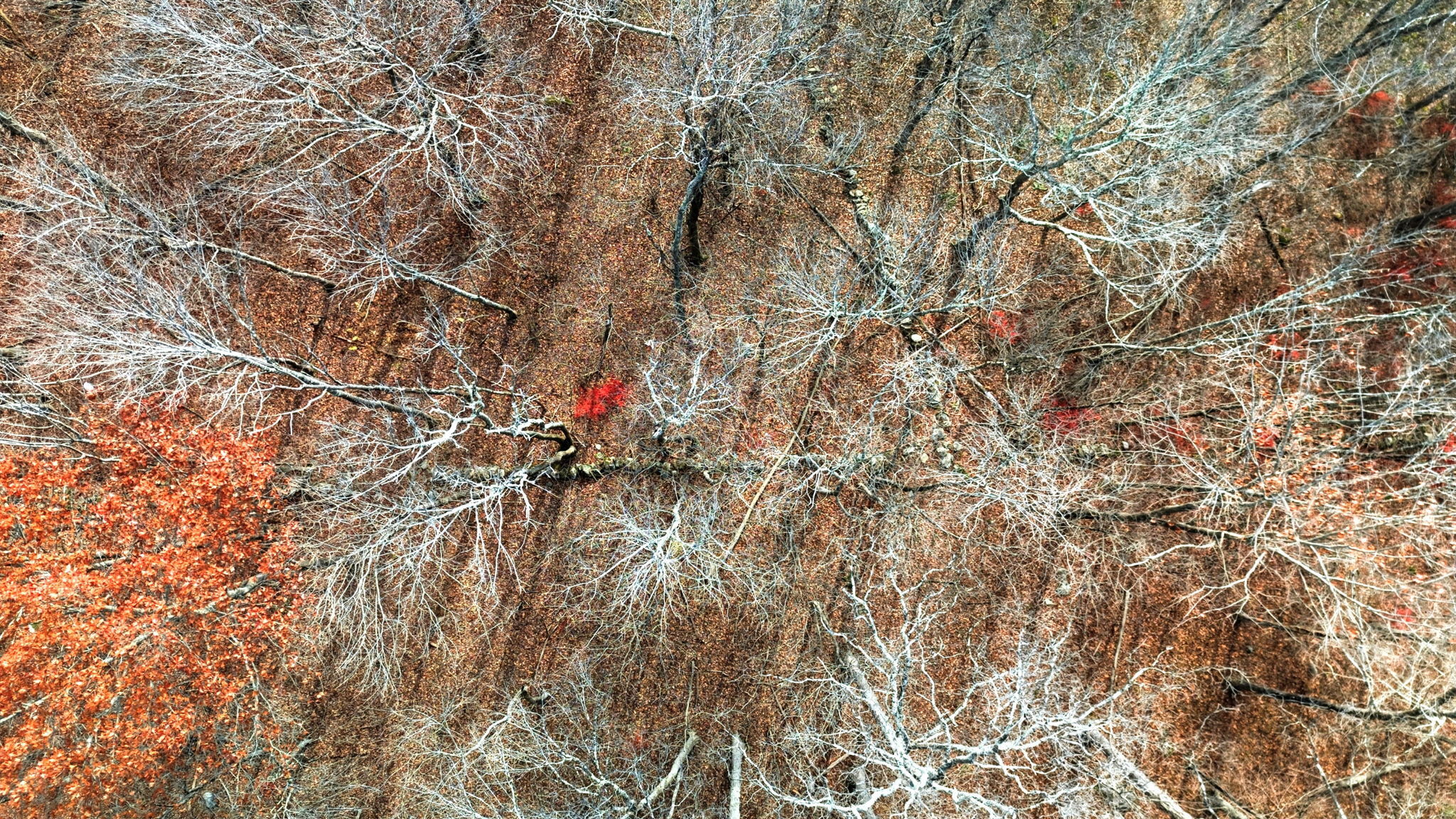 126 Hebron Road Bolton CT 06043