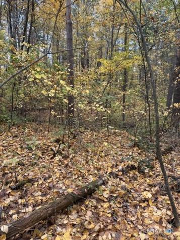 490 Route 7 Sharon CT 06069