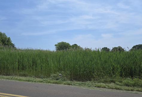 Causeway Clinton CT 06413
