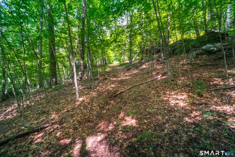 61 Silver Springs Drive Haddam CT 06441
