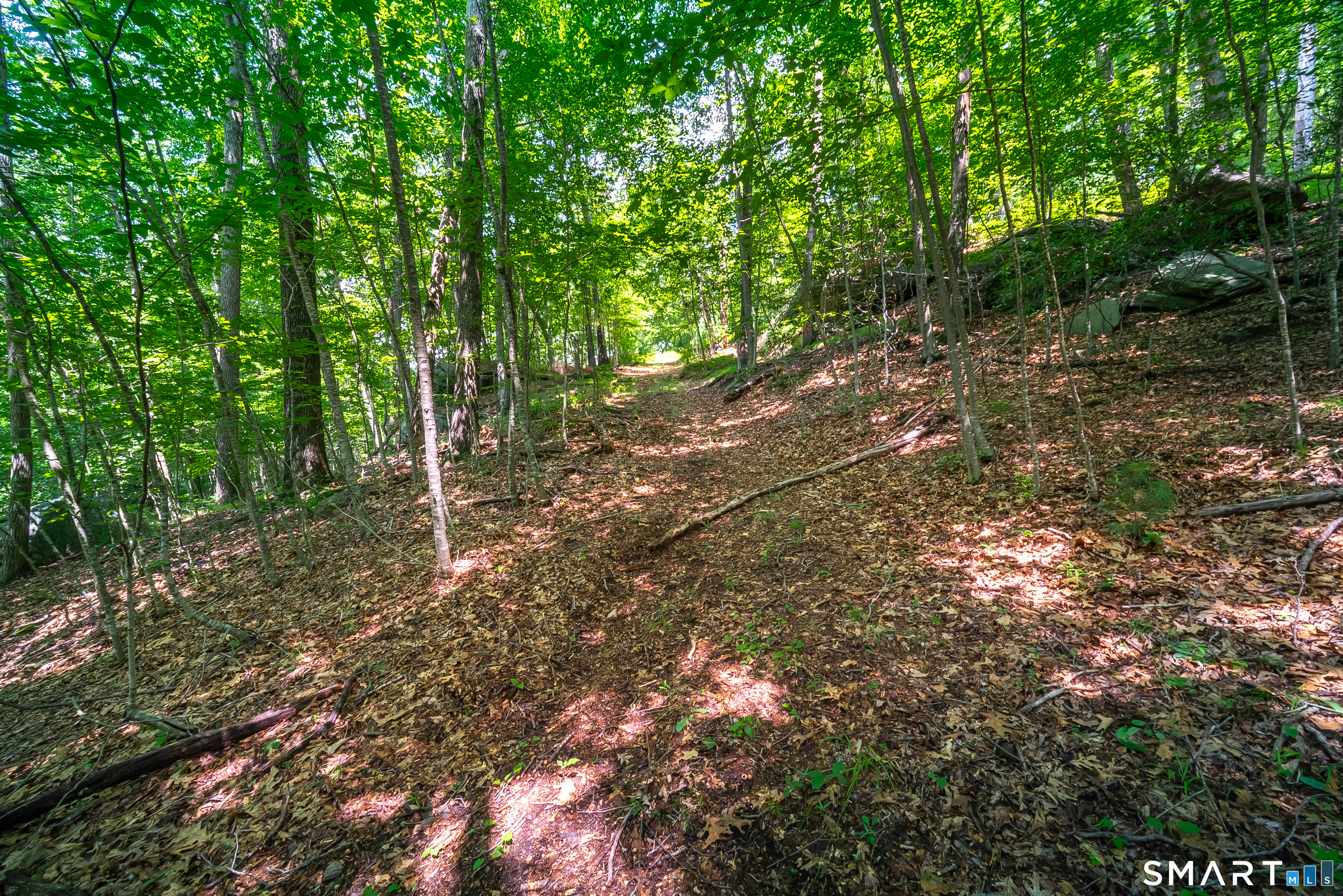 61 Silver Springs Drive Haddam CT 06441