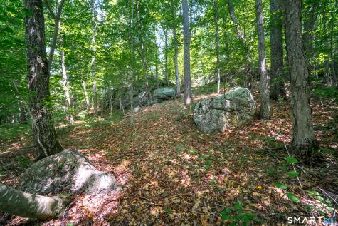 61 Silver Springs Drive Haddam CT 06441