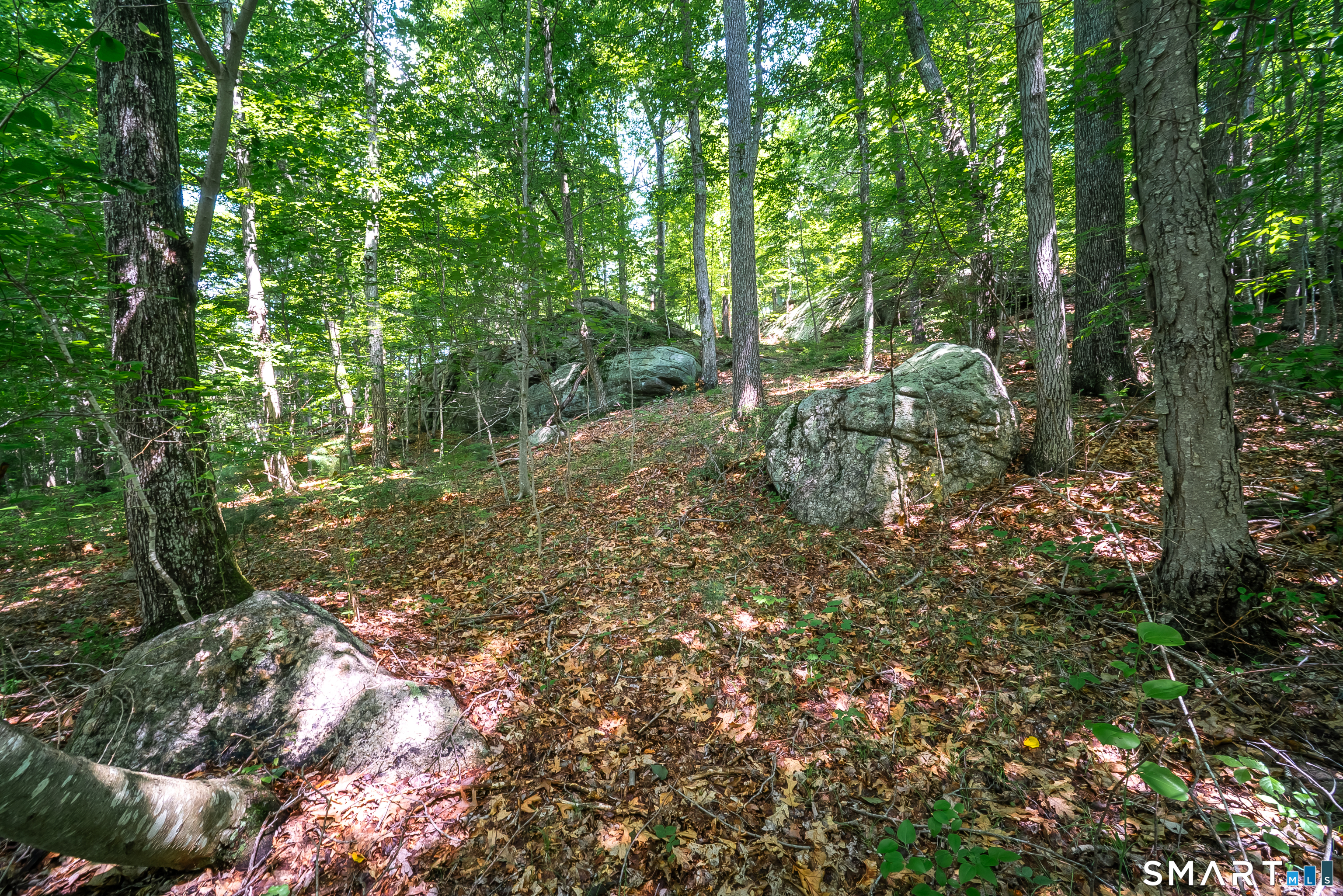 61 Silver Springs Drive Haddam CT 06441