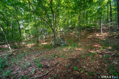 61 Silver Springs Drive Haddam CT 06441