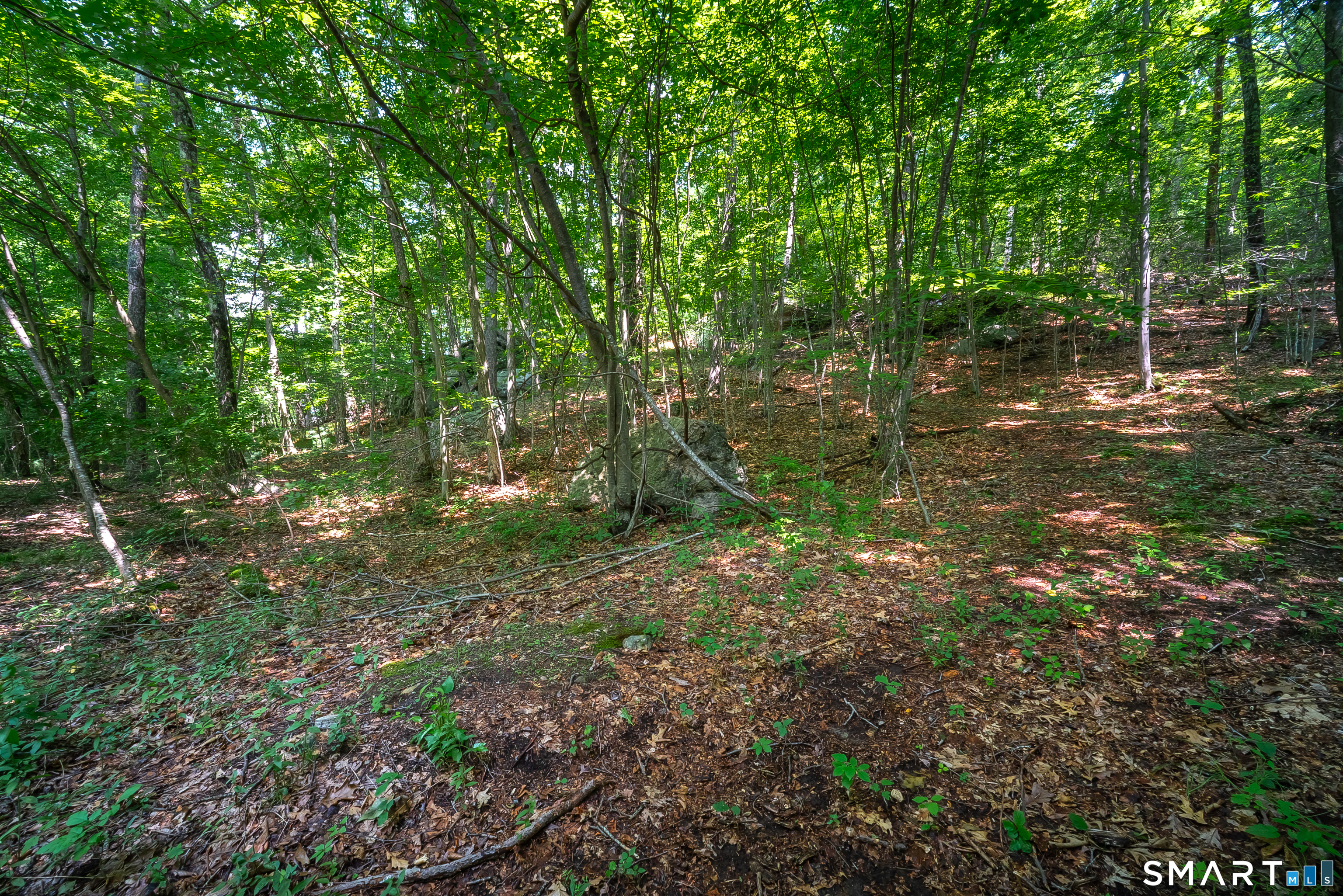 61 Silver Springs Drive Haddam CT 06441