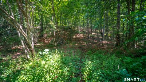 61 Silver Springs Drive Haddam CT 06441