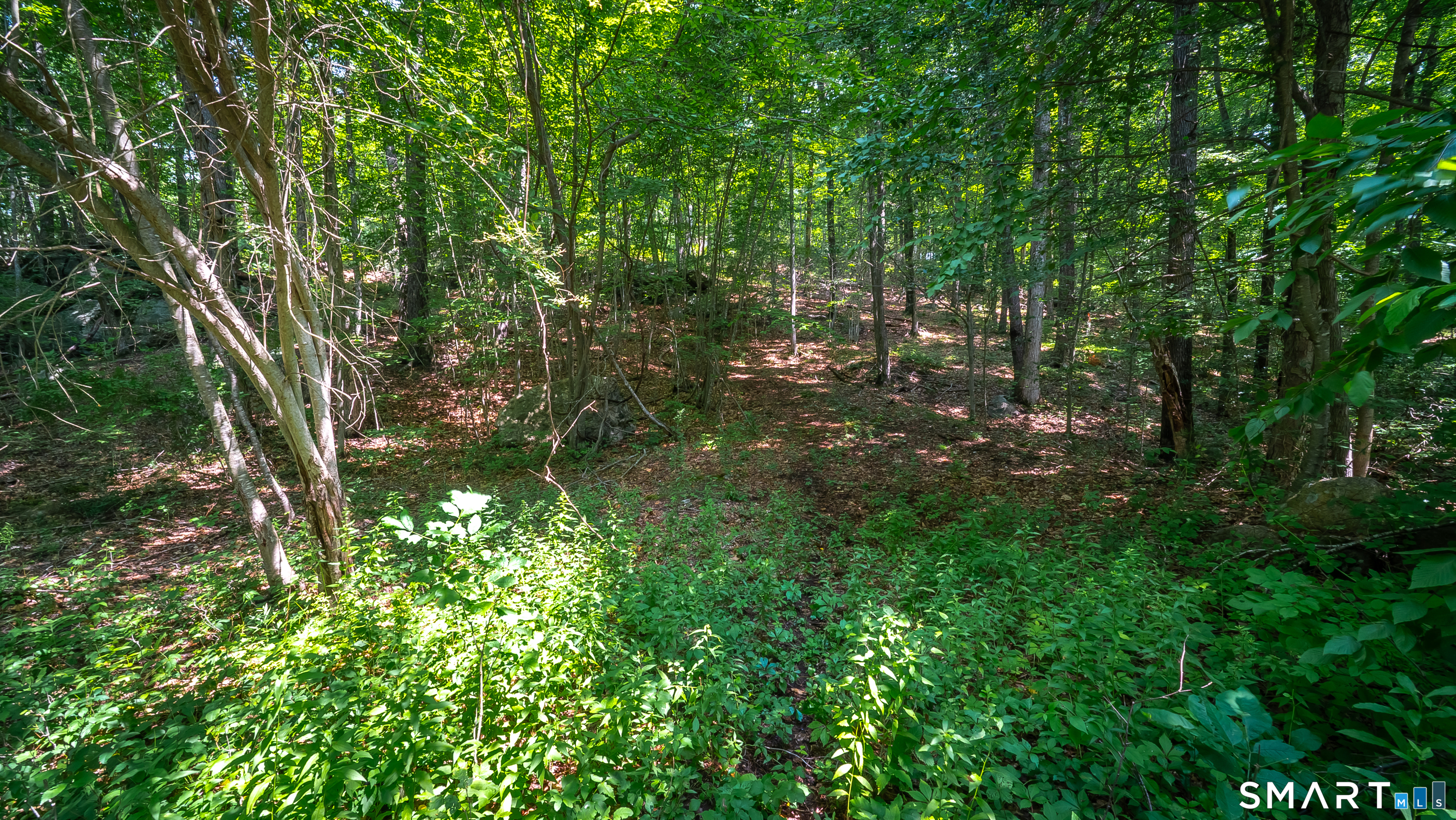 61 Silver Springs Drive Haddam CT 06441