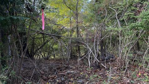 89 Canterbury Turnpike Norwich CT 06360