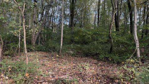 89 Canterbury Turnpike Norwich CT 06360