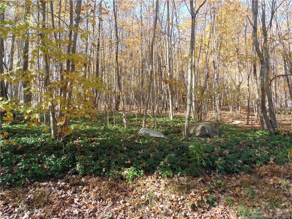 lot 6 Ashford Lake Drive Ashford CT 06278