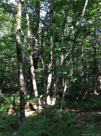 00 Greenwoods East Road Norfolk CT 06058