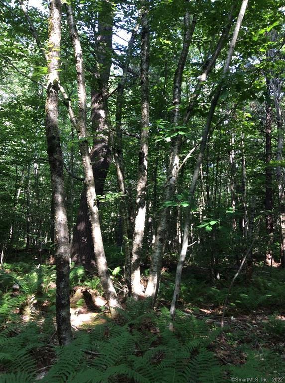 00 Greenwoods East Road Norfolk CT 06058