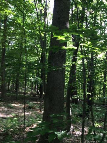 00 Greenwoods East Road Norfolk CT 06058