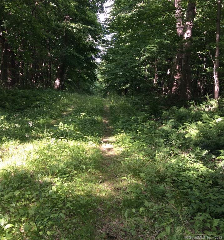 00 Greenwoods East Road Norfolk CT 06058