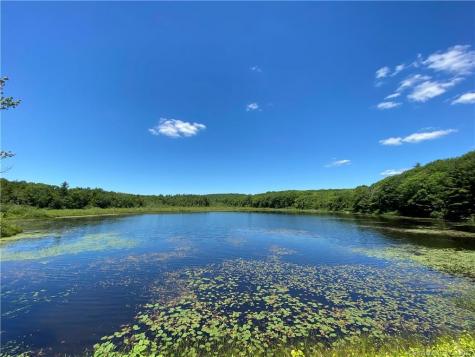 00 Greenwoods East Road Norfolk CT 06058