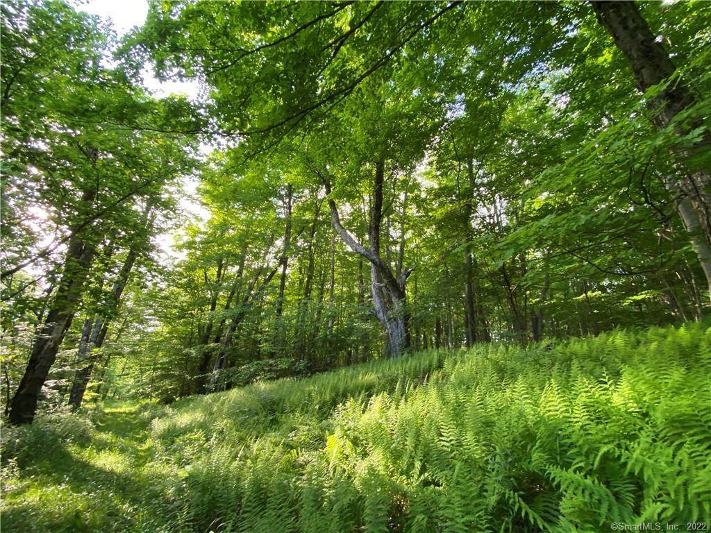 00 Greenwoods East Road Norfolk CT 06058