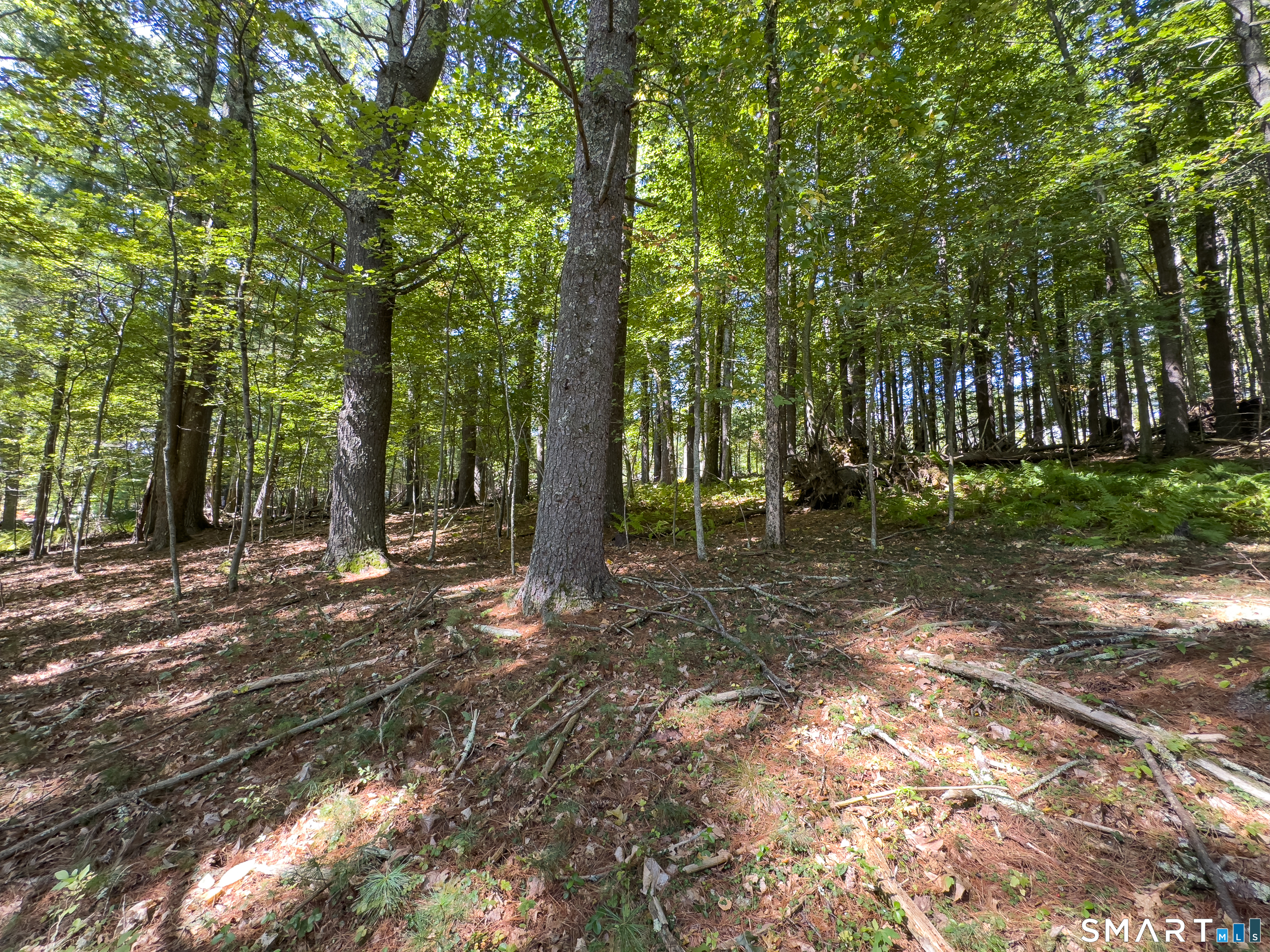 49 Stone Road Killingly CT 06241