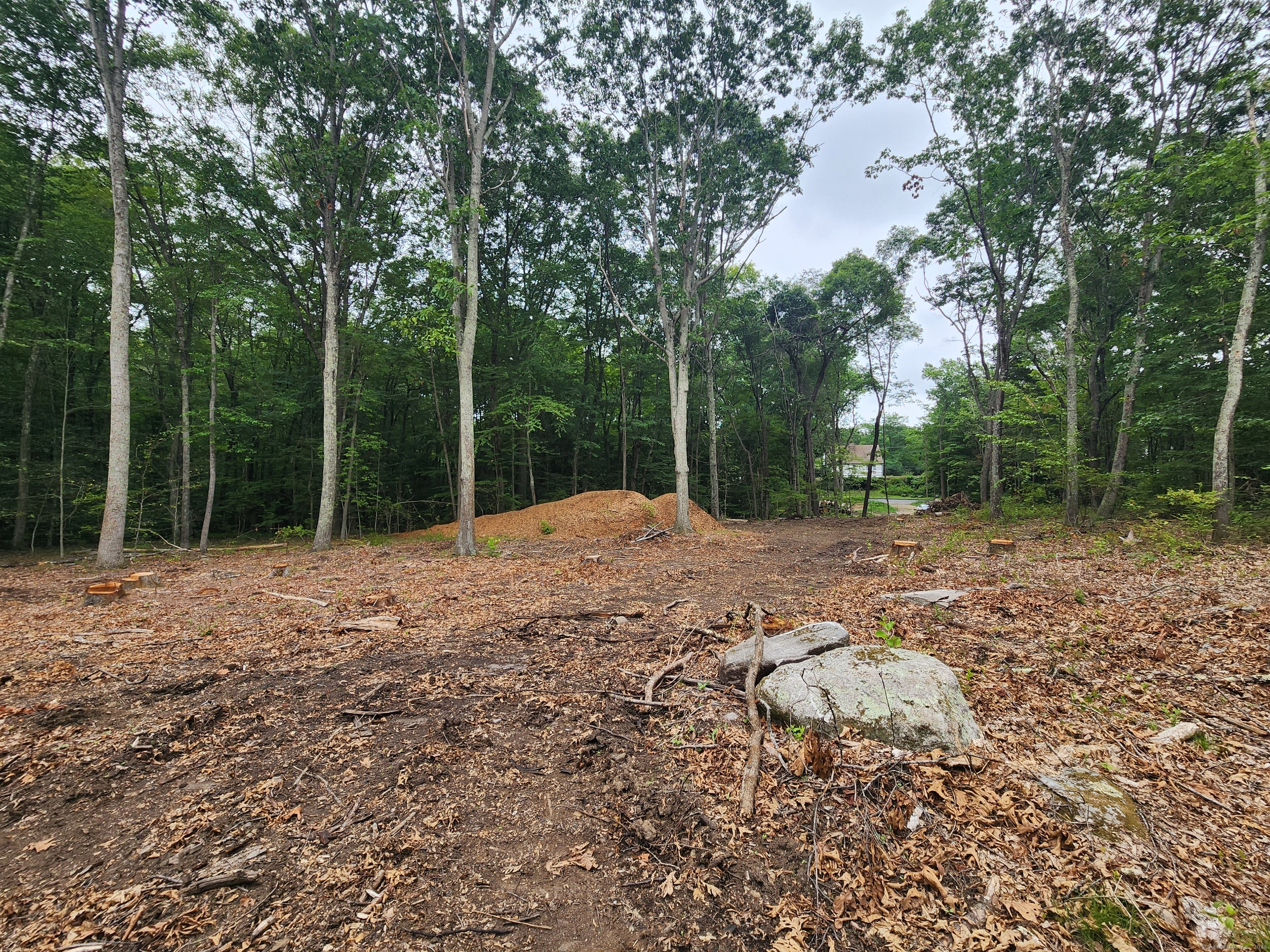 262 Route 81 Killingworth CT 06419
