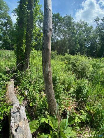 26 100 Acres Road Newtown CT 06470
