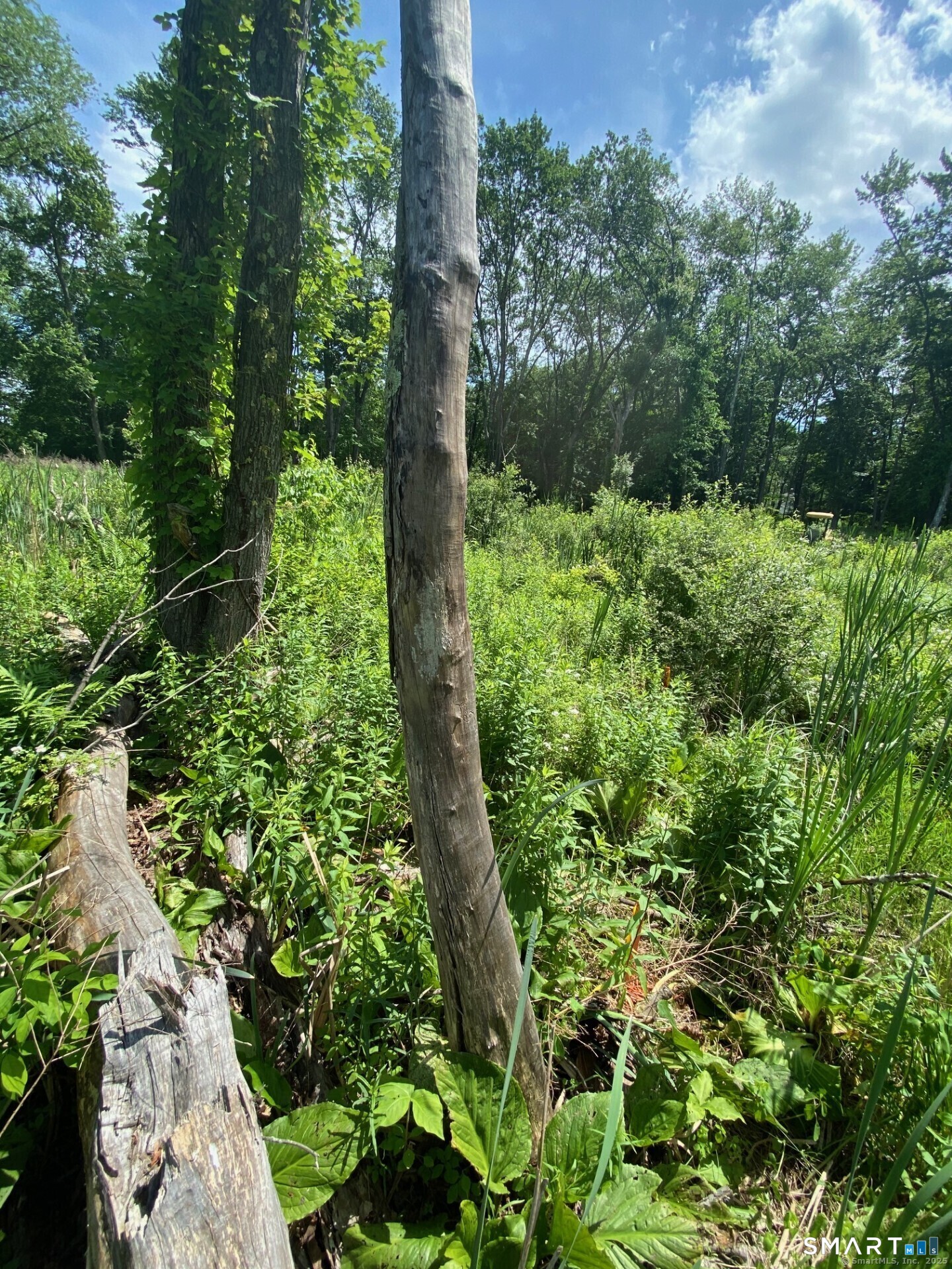 26 100 Acres Road Newtown CT 06470