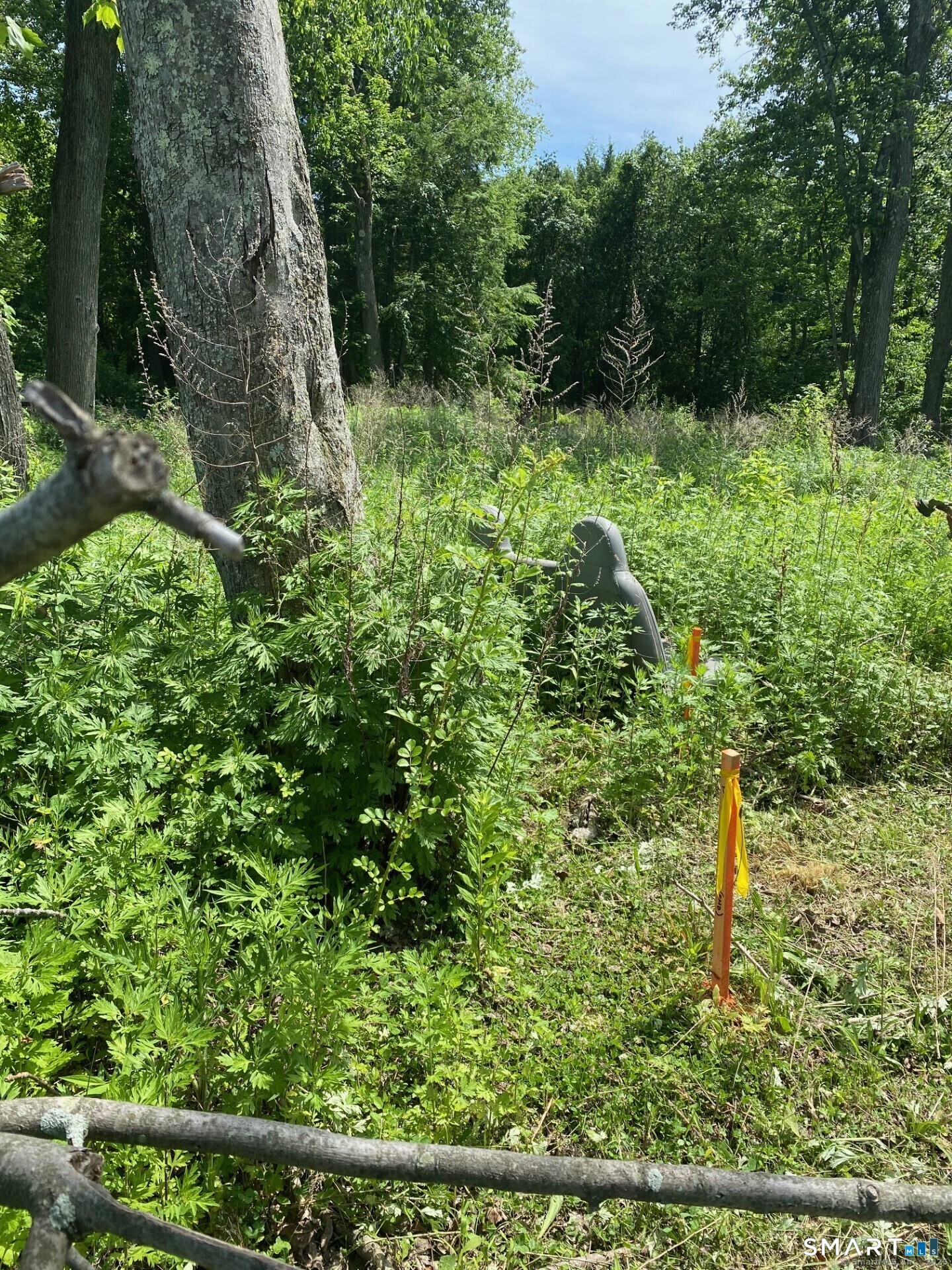 26 100 Acres Road Newtown CT 06470
