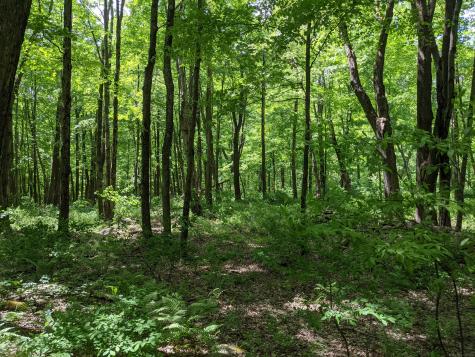 17 Old Homestead Lane Kent CT 06757