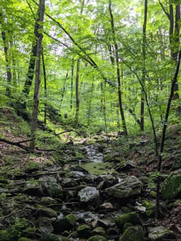 17 Old Homestead Lane Kent CT 06757