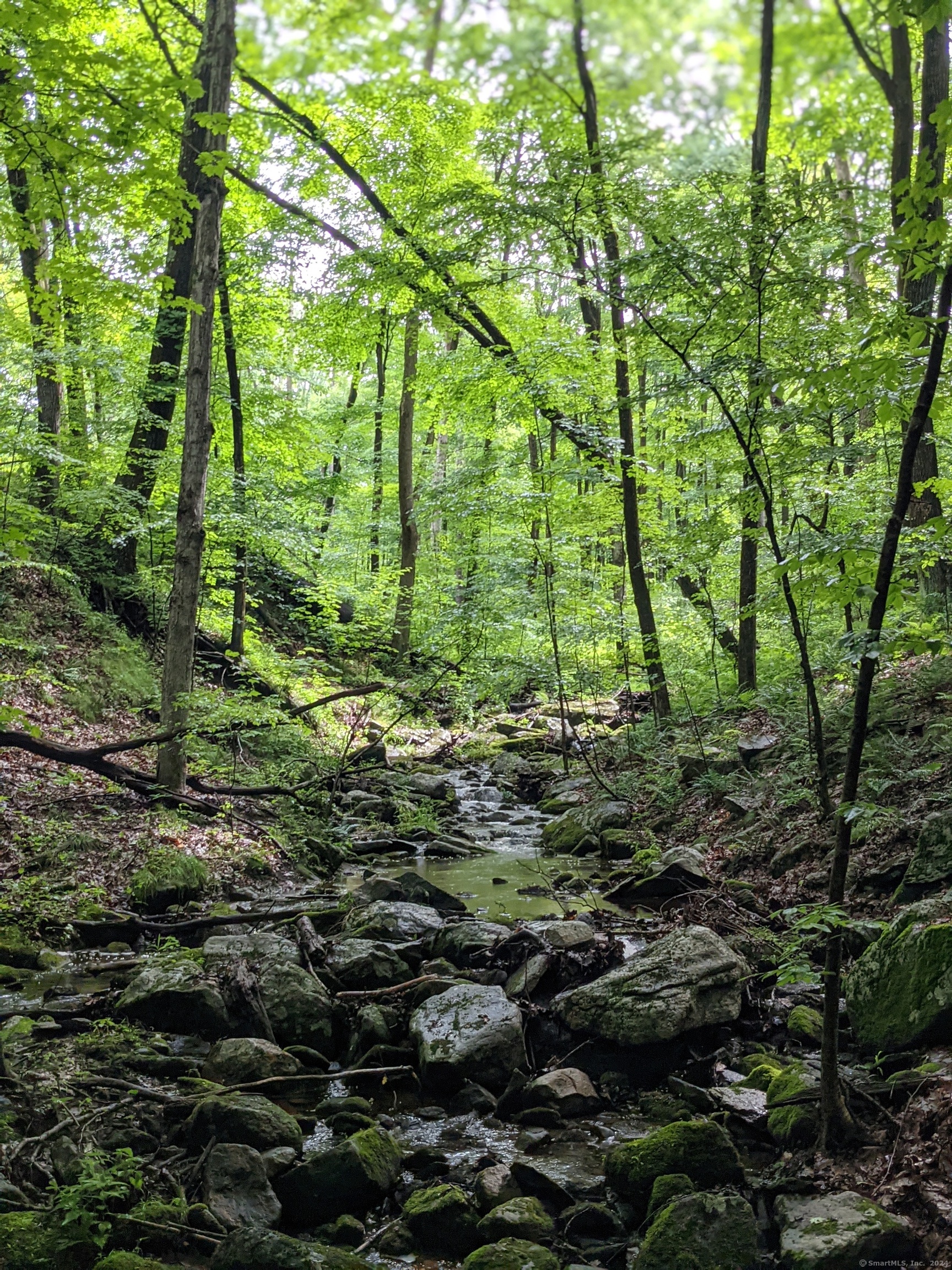 17 Old Homestead Lane Kent CT 06757