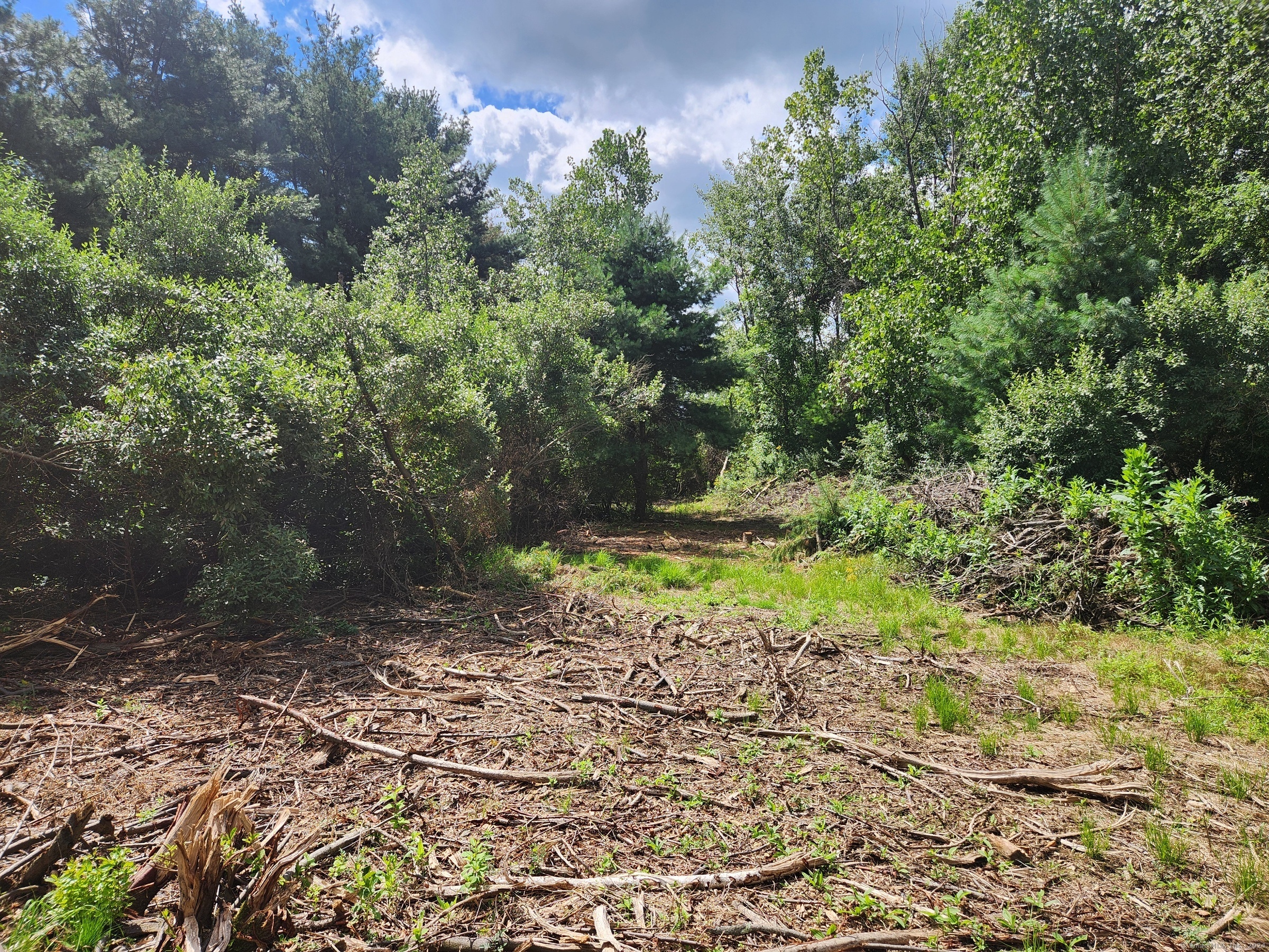 83 River Road Willington CT 06279
