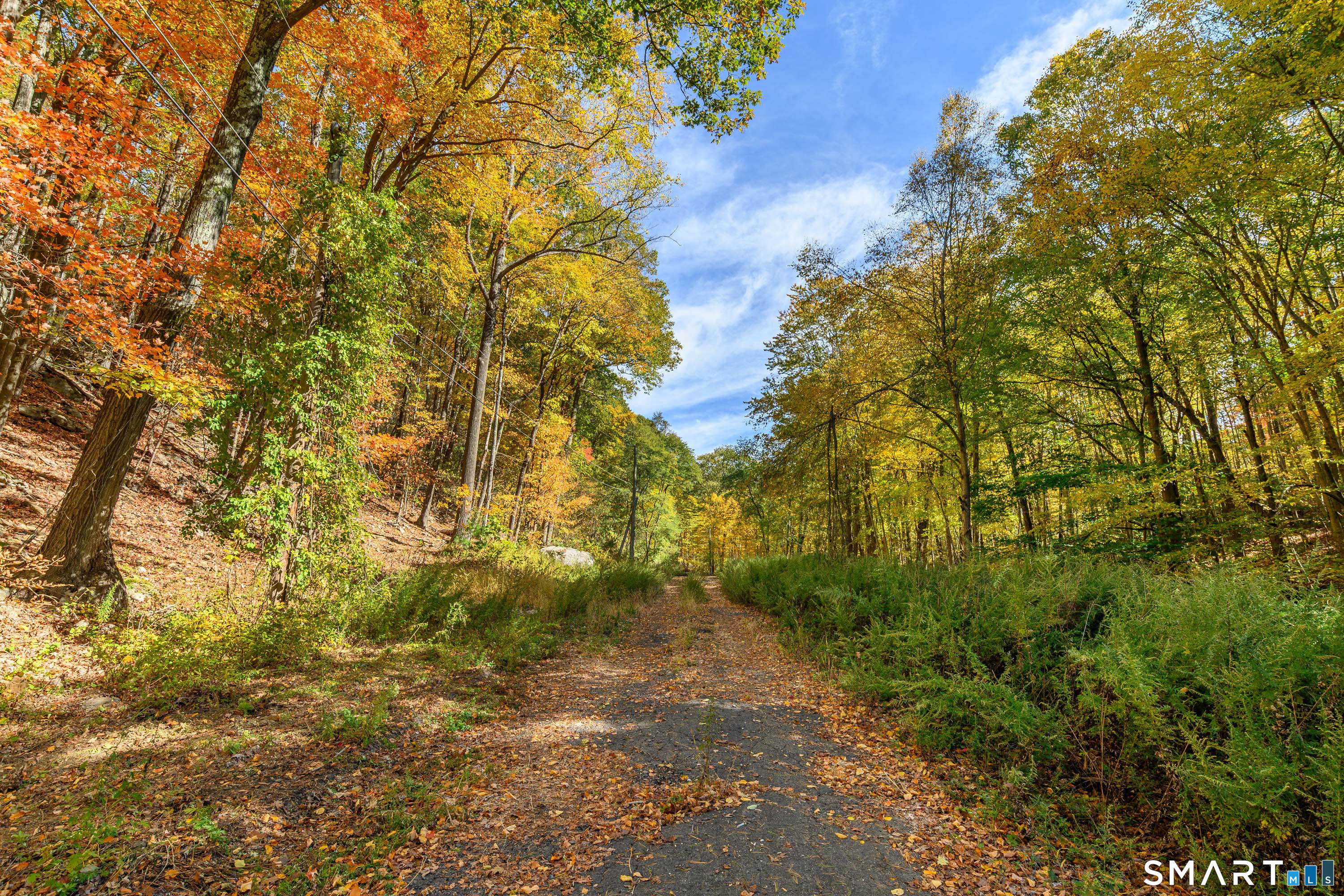Ives Court Ridgefield CT 06877