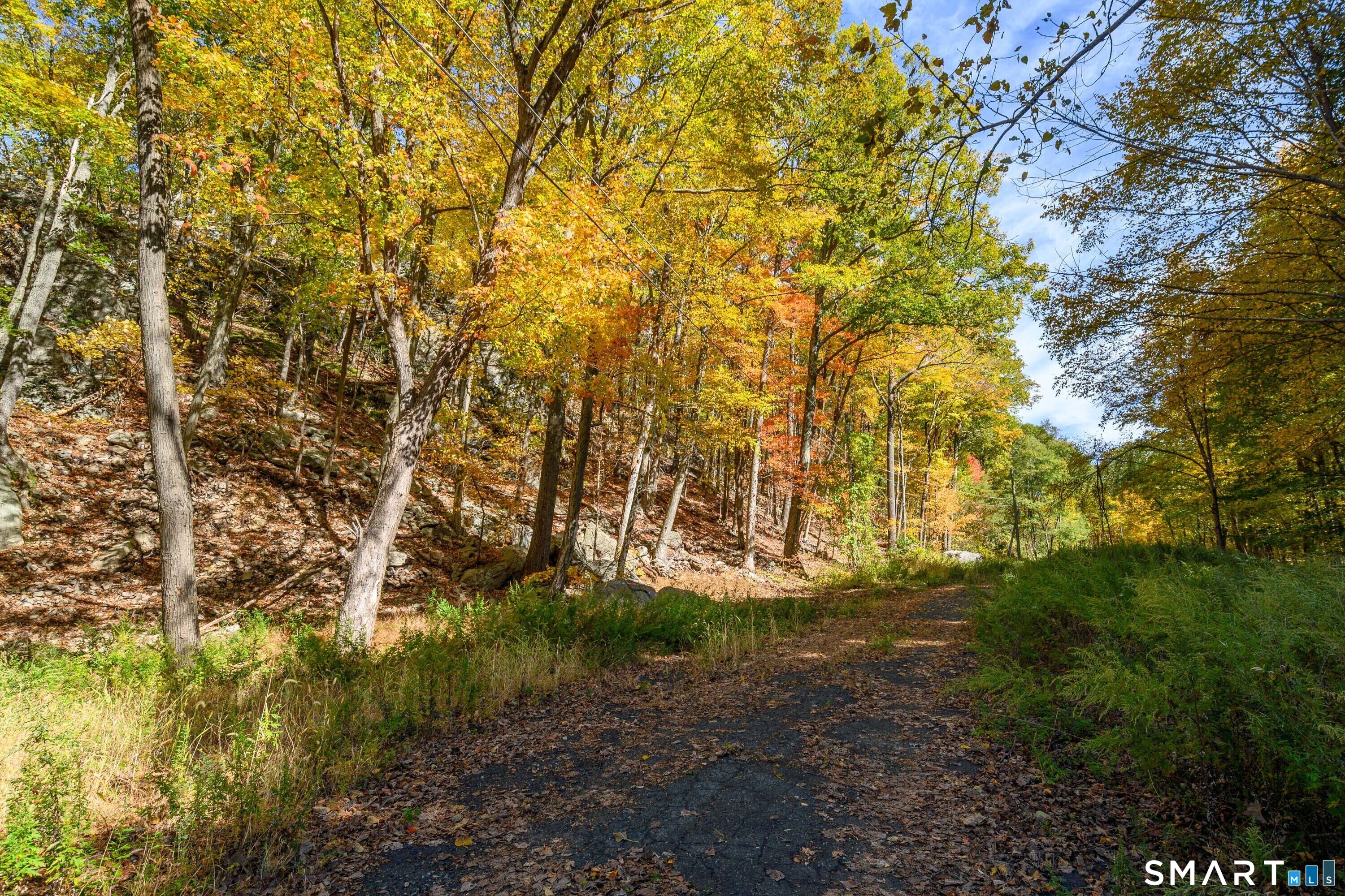 Ives Court Ridgefield CT 06877