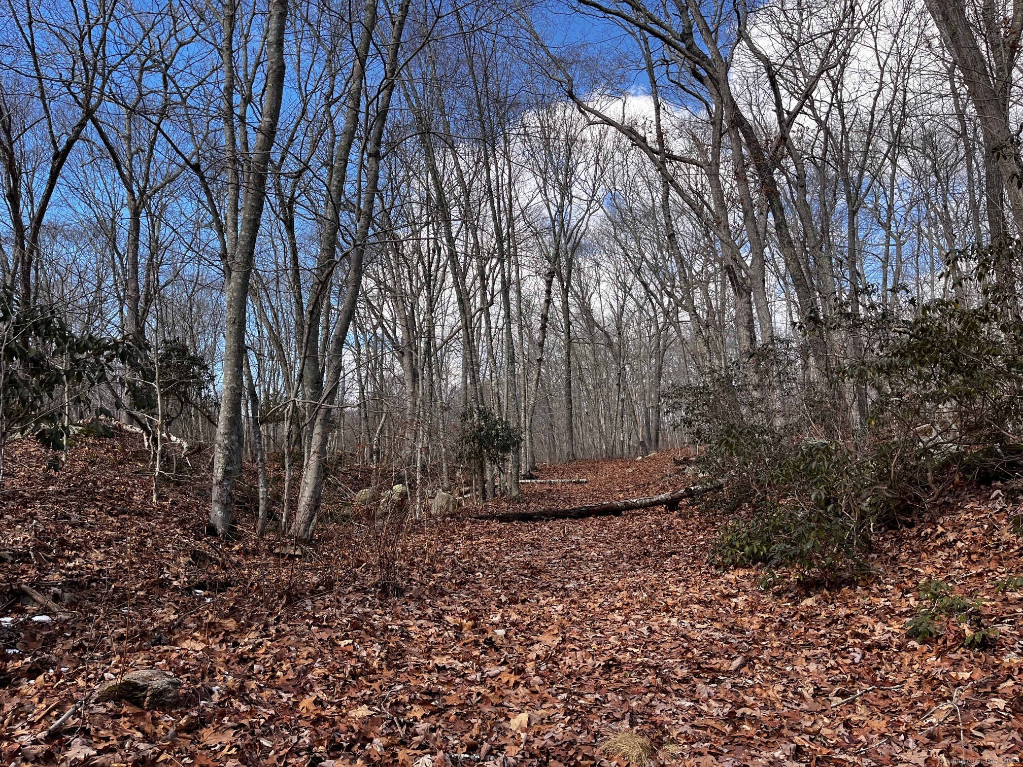 43-2 Saunders Hollow Road Old Lyme CT 06371