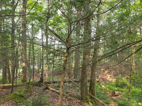 34 Front Of The Mountain Road New Milford CT 06776