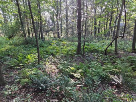 34 Front Of The Mountain Road New Milford CT 06776