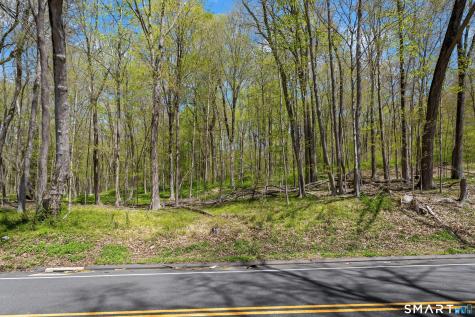 Black Rock Turnpike Redding CT 06896