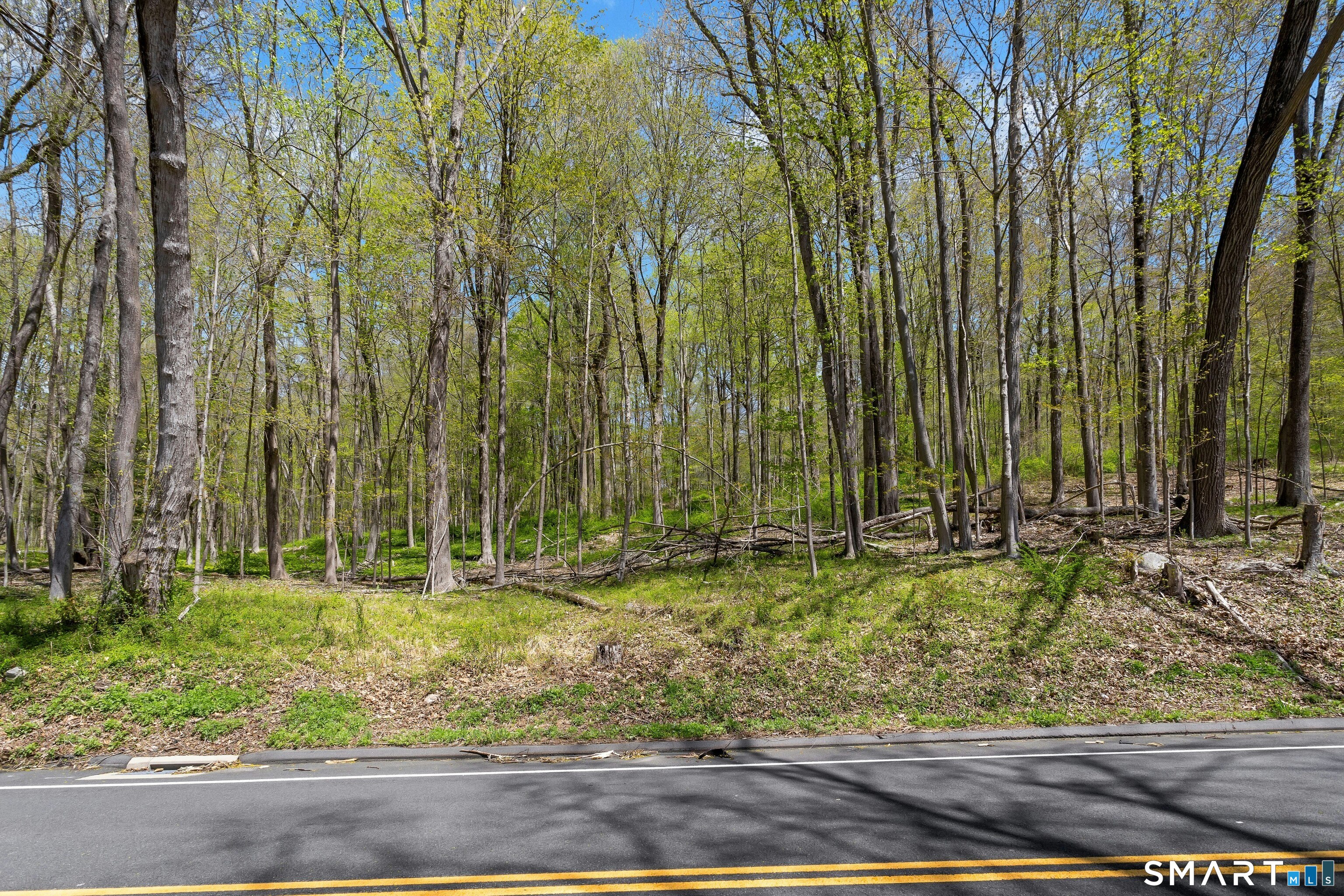 Black Rock Turnpike Redding CT 06896