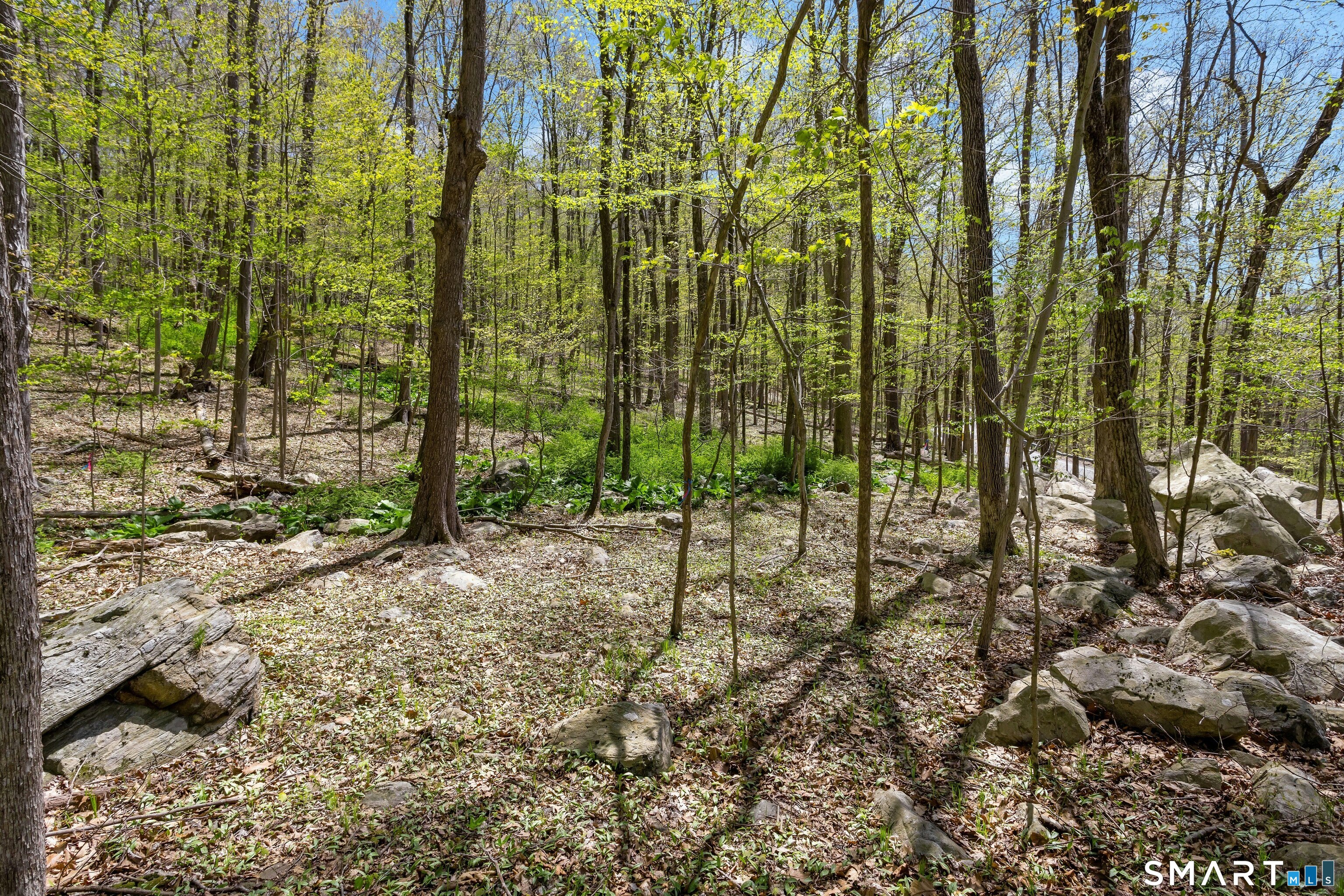 Black Rock Turnpike Redding CT 06896