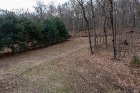 Saybrook Road Haddam CT 06438
