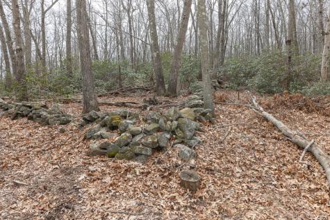 Saybrook Road Haddam CT 06438