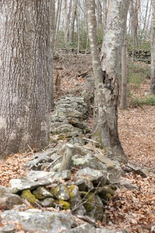 Saybrook Road Haddam CT 06438