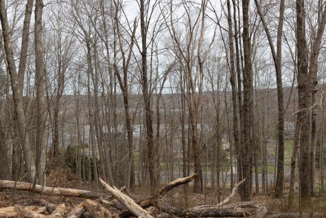 Saybrook Road Haddam CT 06438